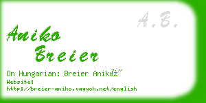 aniko breier business card